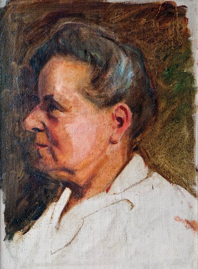 Portrait of a Woman by Laszlo Mednyanszky